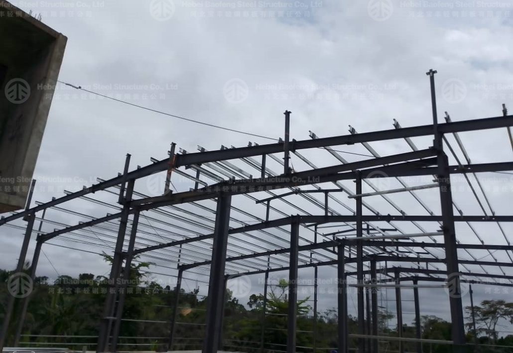 Exports to Cameroon Custom Steel Processing Warehouse